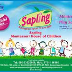 sapling-banner