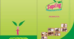 Sapling-Prospectors_Page_1